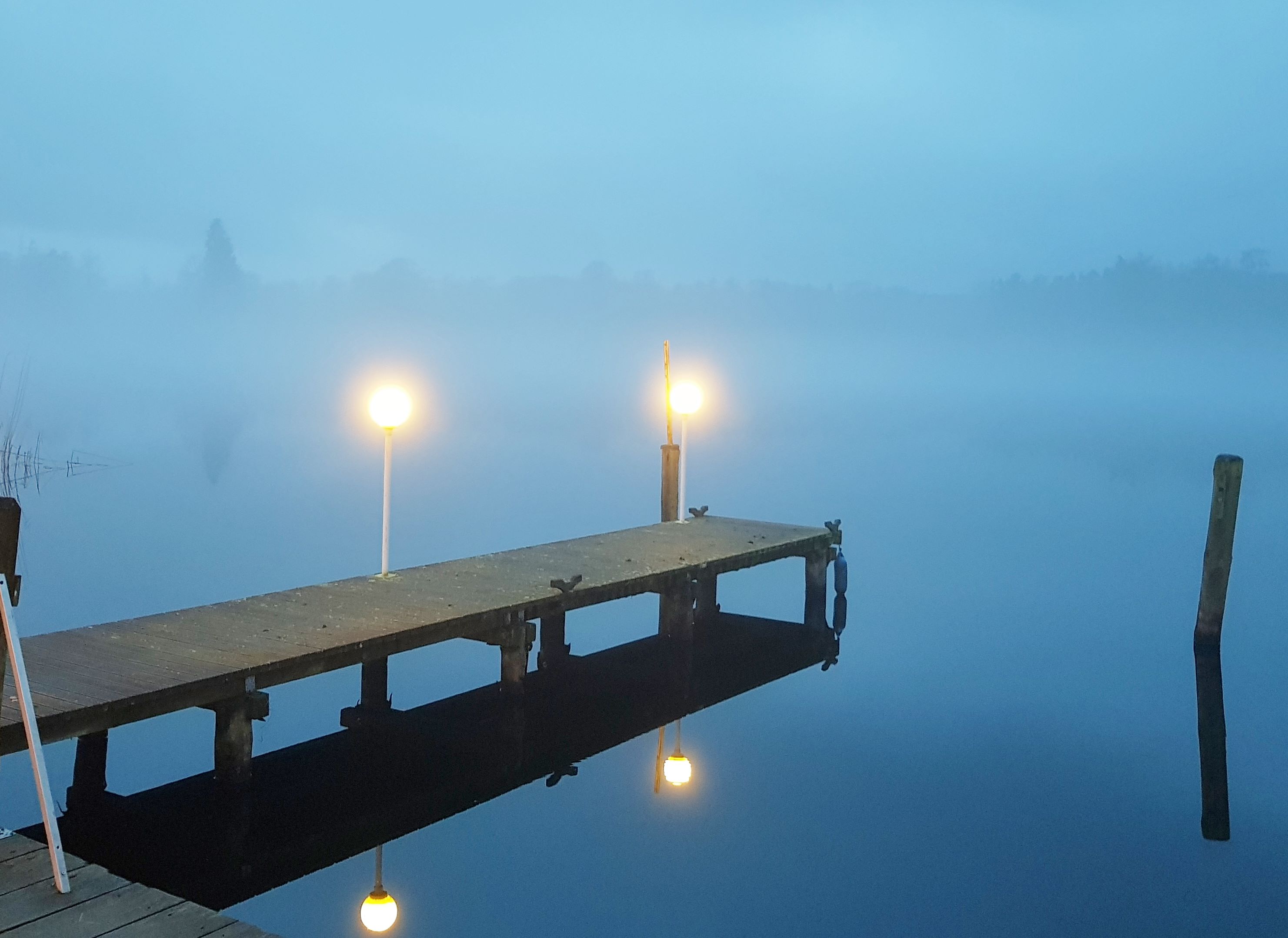 der Grienickesee am Schloß